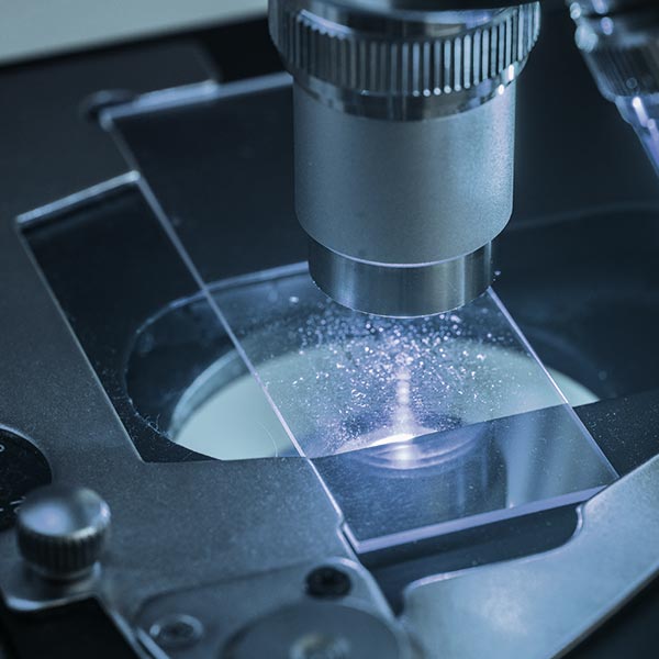 accessoire-microscope