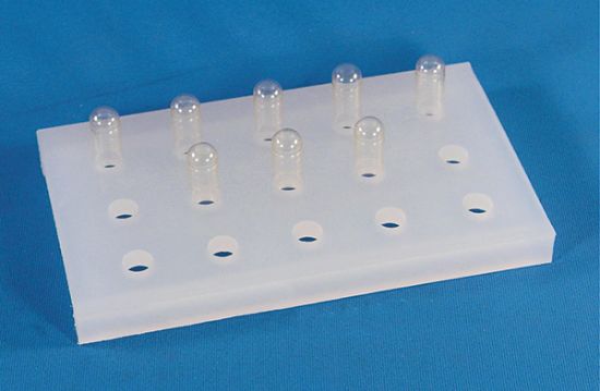 0020231_gelatin-capsule-holder_550