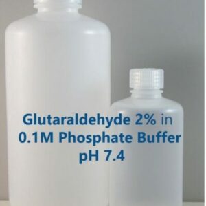 Glutaraldehyde 2% in 0.1M Phosphate Buffer