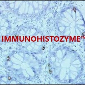 ImmunoHistoZyme™