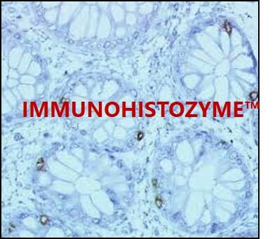 IMMUNOHISTOZYME™ ImmunoHistoZyme™