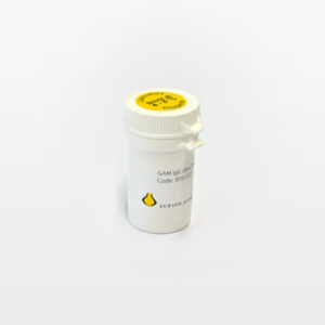 Goat-anti-Mouse IgG (H&L)