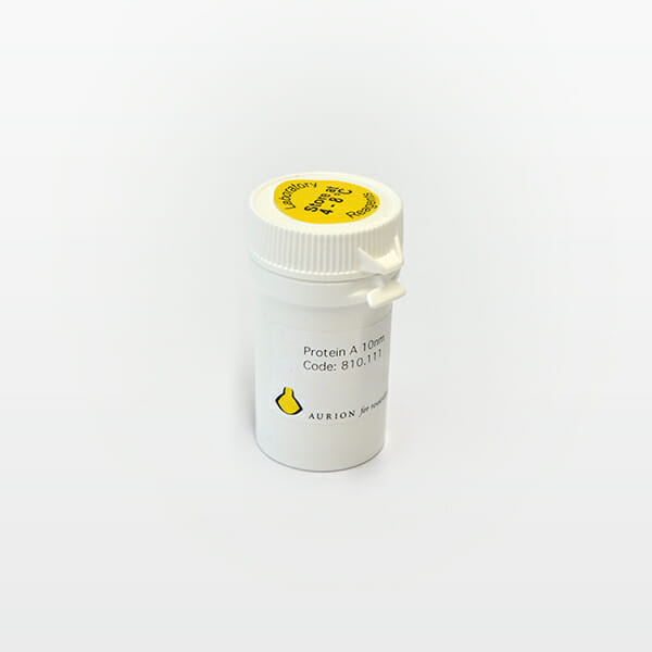 container_ProteinA Protein A