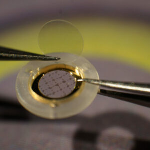 CryoCapsule ®