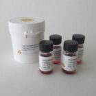 Gold Nanoparticles – Carboxyl Functionalized|