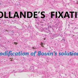 Hollande's Fixative - Bulk packaging