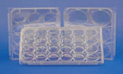 64705 Costar® Brand Cell Culture Clusters