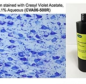 Cresyl Violet Acetate Solution