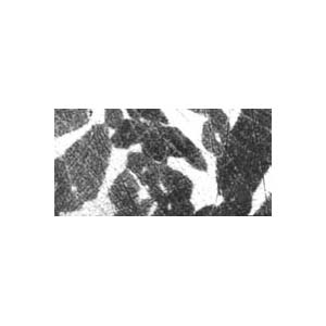 Duplex Reference Specimen