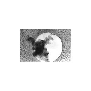 Combined TEM Test Specimen