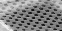 C-flat™ Holey Carbon Grids for TEM
