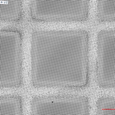 QuantifoilR1-2_50x