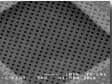 C-flat™ Holey Carbon Grids for TEM