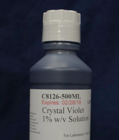 crystal violet solution Crystal Violet Solution