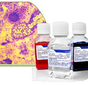 Differential Quick Staining Kit (Modified Giemsa)